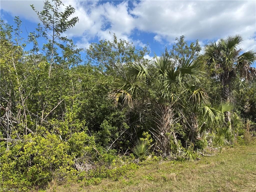 41617360008 36TH AVE SE, NAPLES, FL 34117 — photo 3