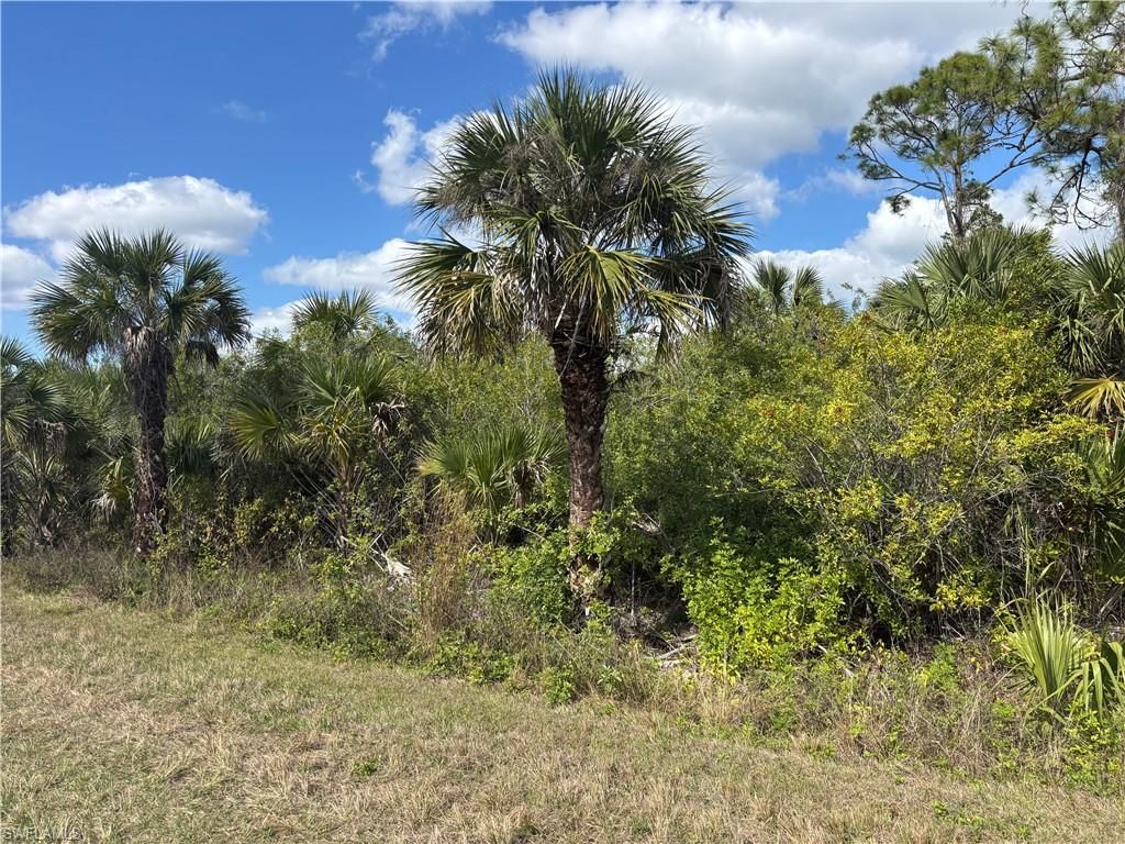 41617360008 36TH AVE SE, NAPLES, FL 34117 — photo 4