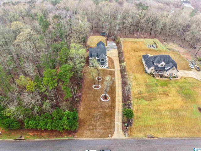 770 LAKEVIEW CREST DRIVE, Pell City, AL 35128