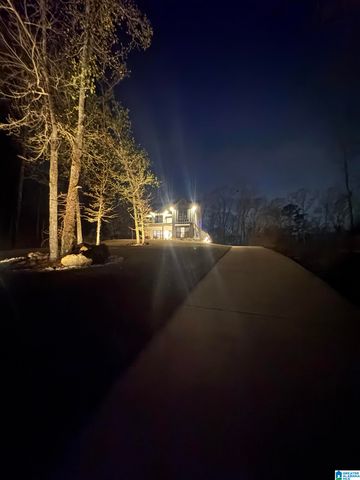 770 LAKEVIEW CREST DRIVE, Pell City, AL 35128