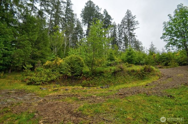 420 E Dartmoor Drive, Shelton, WA 98584