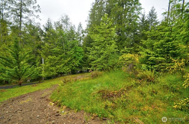 420 E Dartmoor Drive, Shelton, WA 98584