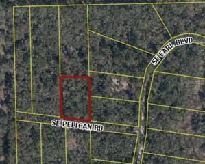 164 SE PELICAN ROAD, Branford, FL 32008