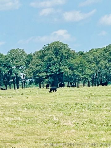 9162 State Hwy 78, Hendrix, OK 74741