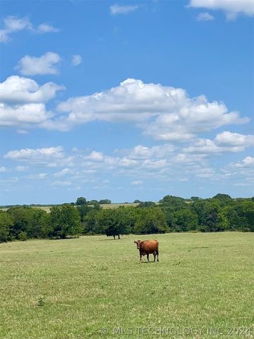 9162 State Hwy 78, Hendrix, OK 74741