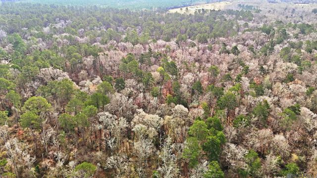 TBD Hwy 449 Highway, Pine Grove, LA 70453