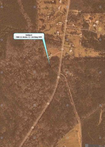 TBD Hwy 449 Highway, Pine Grove, LA 70453