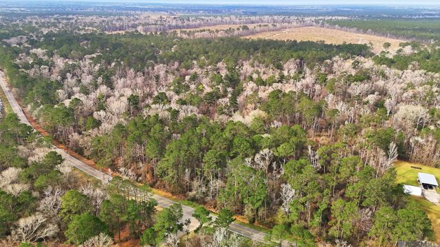 TBD Hwy 449 Highway, Pine Grove, LA 70453