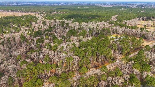 TBD Hwy 449 Highway, Pine Grove, LA 70453