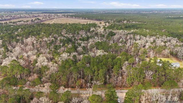 TBD Hwy 449 Highway, Pine Grove, LA 70453