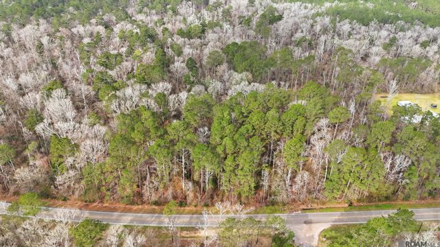 TBD Hwy 449 Highway, Pine Grove, LA 70453