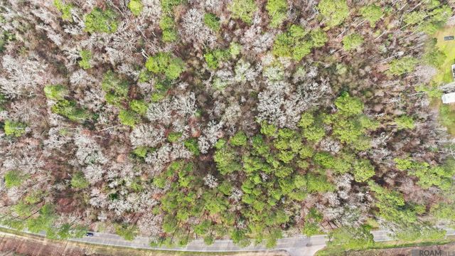 TBD Hwy 449 Highway, Pine Grove, LA 70453