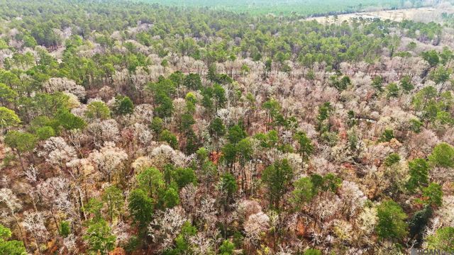 TBD Hwy 449 Highway, Pine Grove, LA 70453