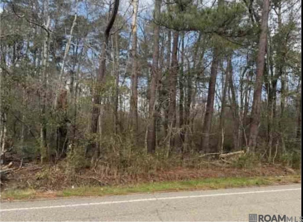 TBD Hwy 449 Highway, Pine Grove, LA 70453