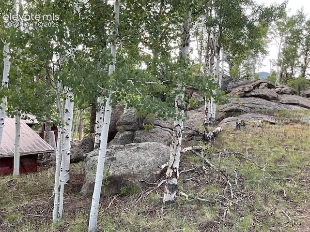 30 Brook Drive, Lake George, CO 80827