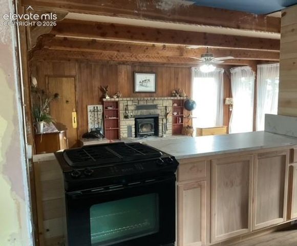 30 Brook Drive, Lake George, CO 80827