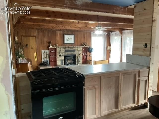 30 Brook Drive, Lake George, CO 80827