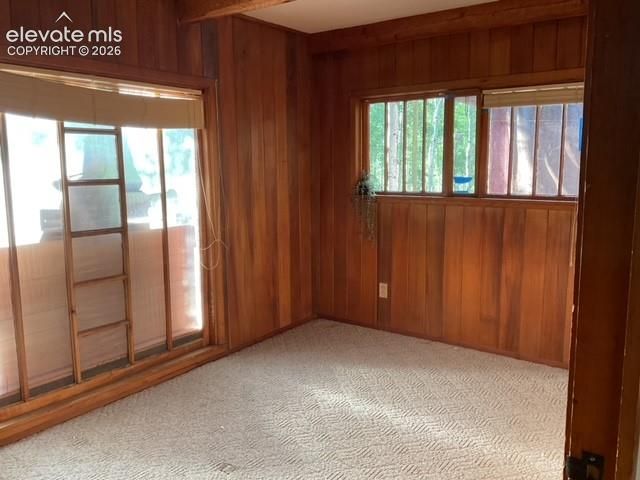 30 Brook Drive, Lake George, CO 80827