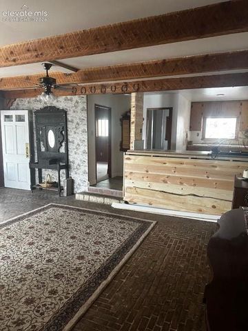 30 Brook Drive, Lake George, CO 80827