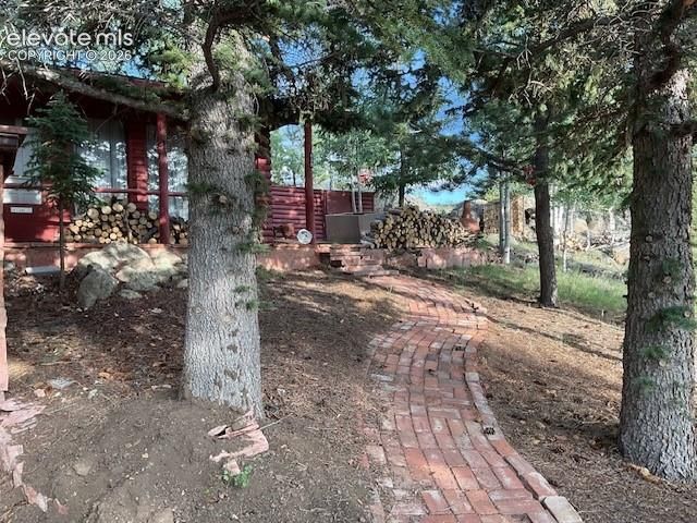 30 Brook Drive, Lake George, CO 80827