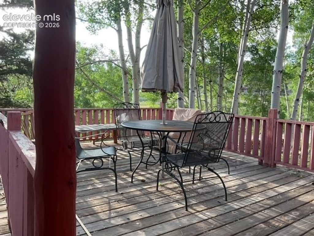 30 Brook Drive, Lake George, CO 80827 — photo 5