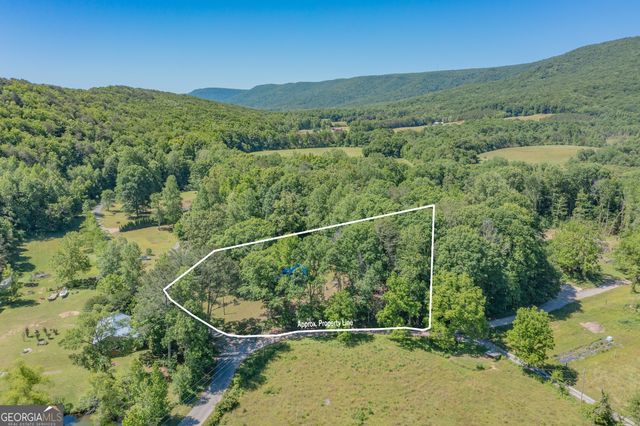 1004 Crow Gap, Chickamauga, GA 30707