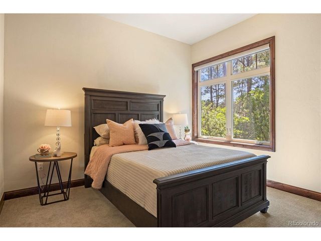 4604 Tierra Alta Dr, Castle Rock, CO 80104