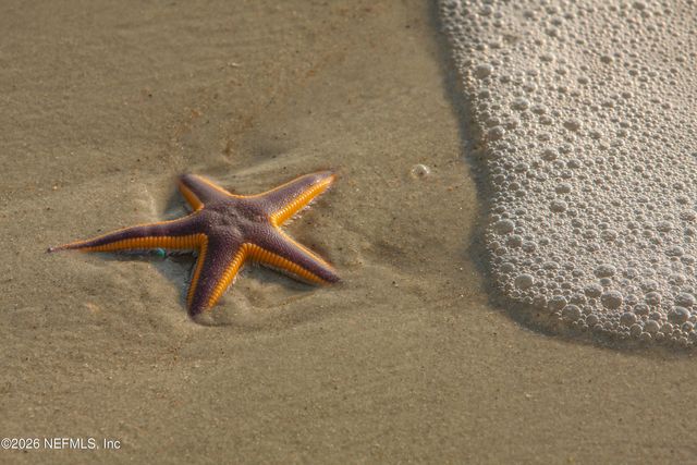 6832 MIDDLETON Avenue, St. Augustine, FL 32080