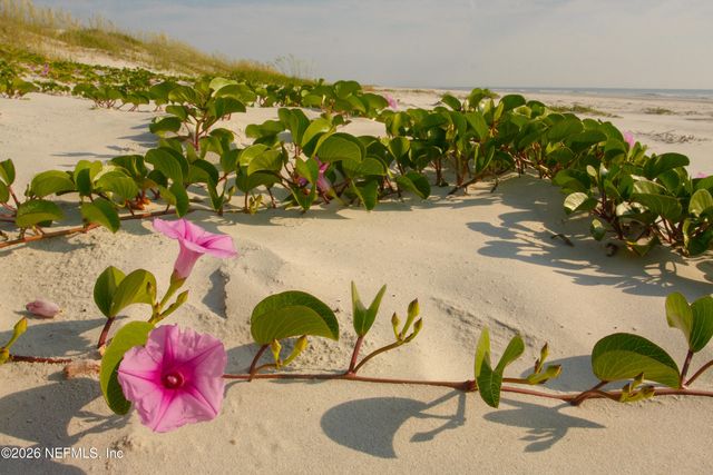 6832 MIDDLETON Avenue, St. Augustine, FL 32080