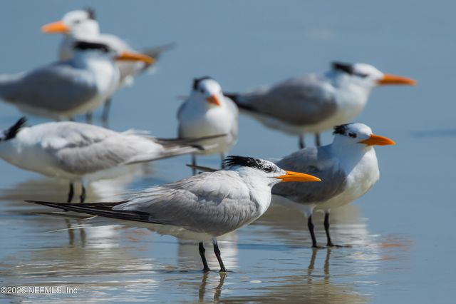 6832 MIDDLETON Avenue, St. Augustine, FL 32080