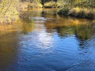 10652 N River Road, Irons, MI 49644