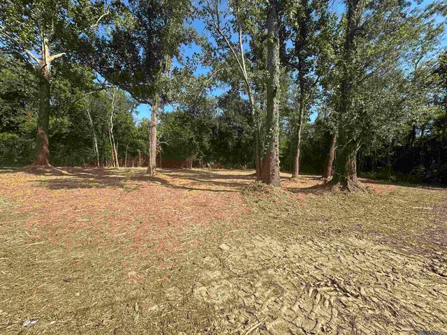 0.53 Acres Split Log Rd, St Amant, LA 70774