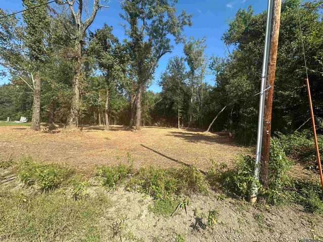 0.53 Acres Split Log Rd, St Amant, LA 70774