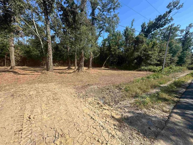 0.53 Acres Split Log Rd, St Amant, LA 70774