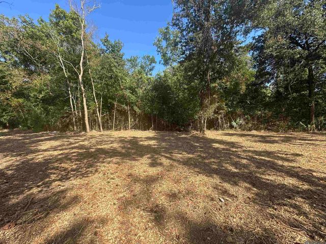 0.53 Acres Split Log Rd, St Amant, LA 70774