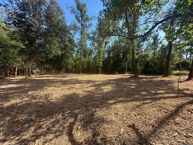 0.53 Acres Split Log Rd, St Amant, LA 70774