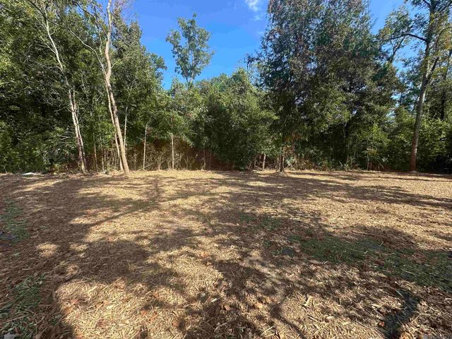 0.53 Acres Split Log Rd, St Amant, LA 70774