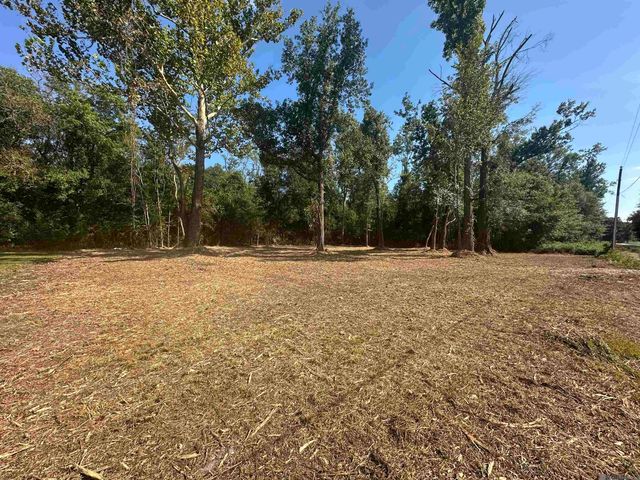 0.53 Acres Split Log Rd, St Amant, LA 70774