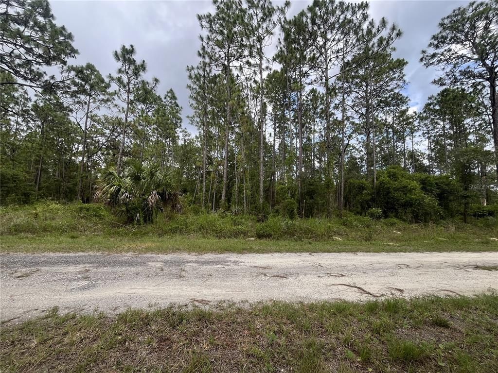 TBD SE 128TH AVENUE, Dunnellon, FL 34431