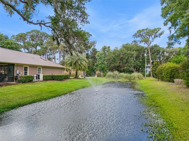 29650 SQUIRREL POINT ROAD, Tavares, FL 32778