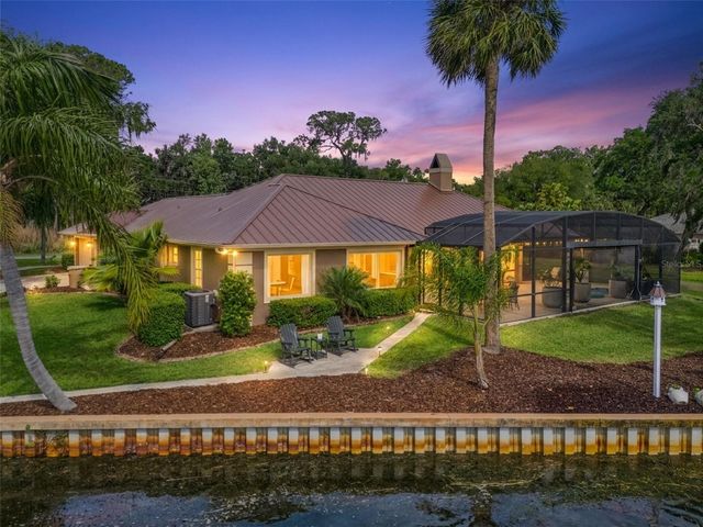 29650 SQUIRREL POINT ROAD, Tavares, FL 32778