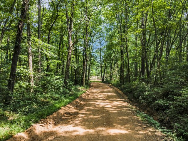 5940 Hassells Creek Ln, Lyles, TN 37098