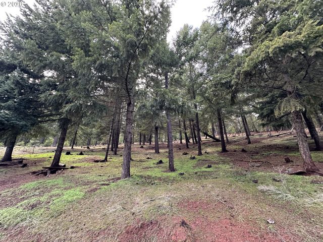 35 THOMPSON, Goldendale, WA 98620