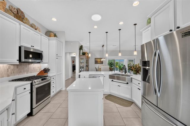 1579 MCELDOWNEY PLACE, The Villages, FL 32163