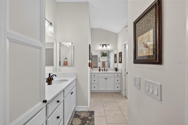 1579 MCELDOWNEY PLACE, The Villages, FL 32163