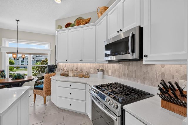 1579 MCELDOWNEY PLACE, The Villages, FL 32163