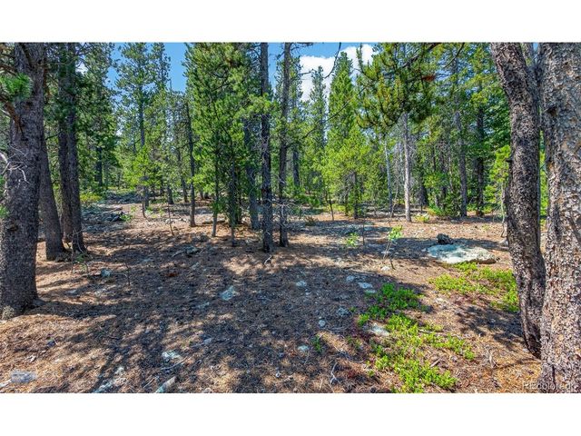 914 S Dory Lakes Dr, Black Hawk, CO 80422