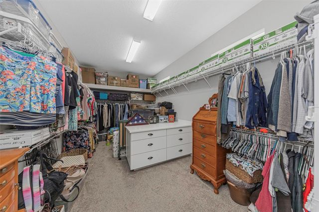 13931 NATURES RESERVE DRIVE, Lithia, FL 33547