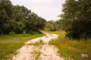 tbd Highway 377 Us-377 377, Blanket, TX 76432