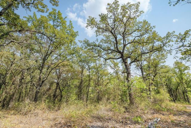 Lot 15 Double B Ranch Road S, Perrin, TX 76486